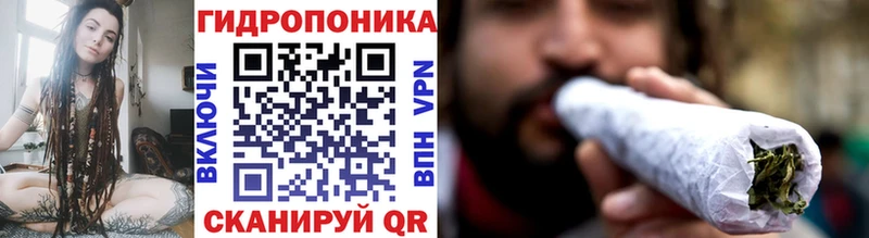 Конопля ГИДРОПОН Шумиха